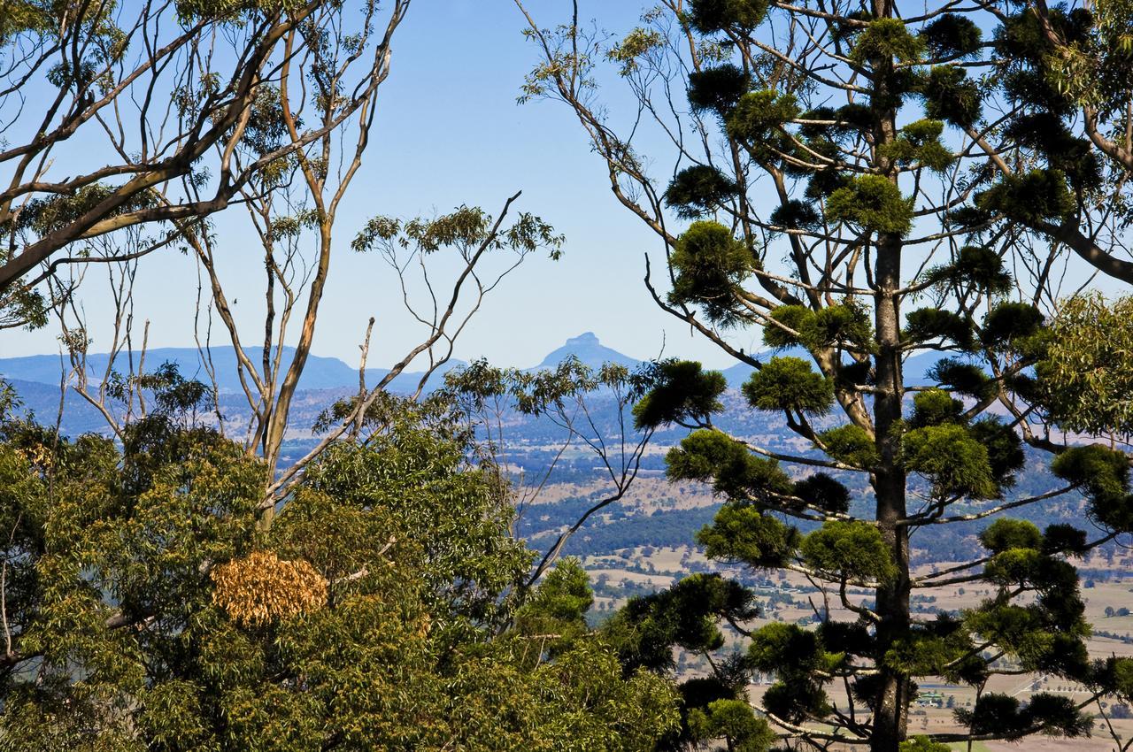 云山庄园负鼠山林小屋 谭伯连山 外观 照片